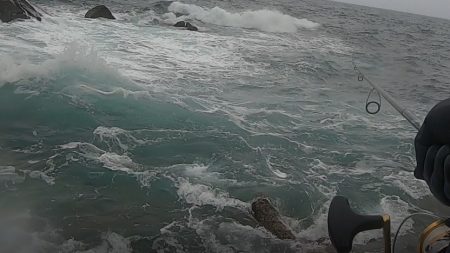 夏ヒラスズキ狙いで、暴風雨の中のサラシから引きずりだした！！